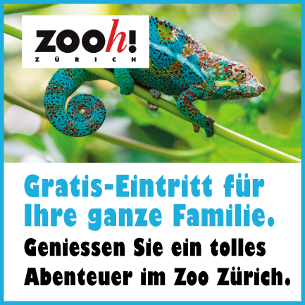 NL Zoo Zürich